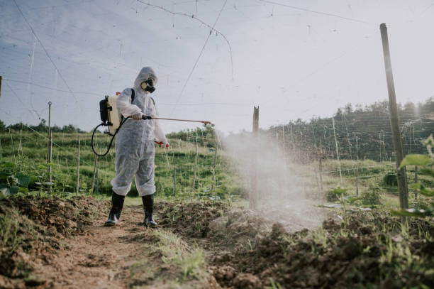 Best Ant Control Services  in Stratford, WI