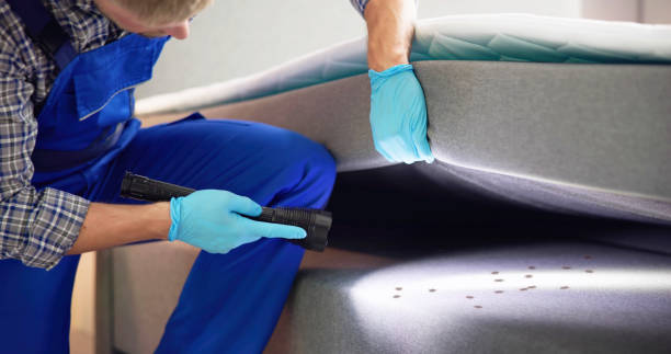Professional Pest Control in Stratford, WI
