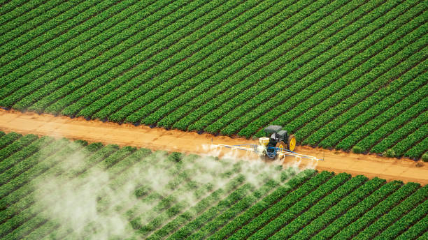 Best Mosquito Control Services  in Stratford, WI