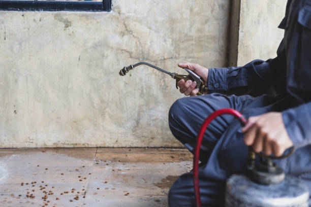 Best Pest Control for Businesses  in Stratford, WI